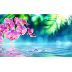 stickers zen orchide