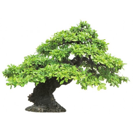 autocollants mural bonsai pas cher