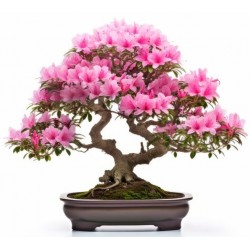 autocollants muraux bonsai