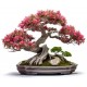sticker muraux bonsai