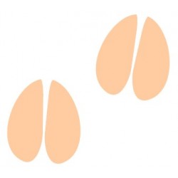 autocollant empreinte animaux