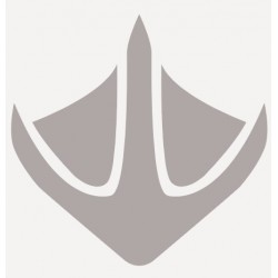 autocollant empreinte canard