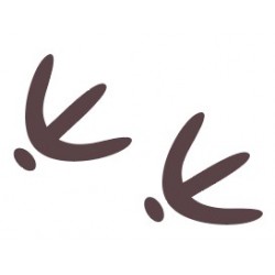 autocollant empreinte oiseau canard