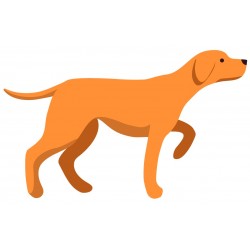 autocollant labrador