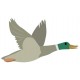 sticker colvert
