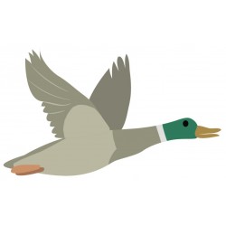 sticker colvert