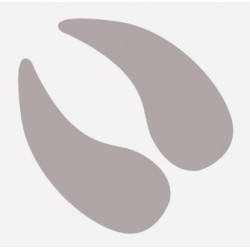 sticker empreinte animaux