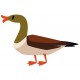 stickers canard