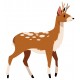 stickers cerf