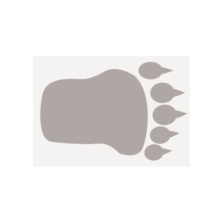 stickers empreinte animal