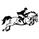 cheval stickers mural