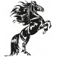 cheval stickers mural deco