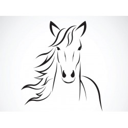 sticker cheval pas cher