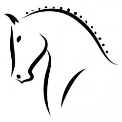 sticker muraux cheval pas cher