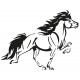 stickers chevaux muraux
