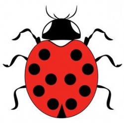 autocollant mural coccinelle