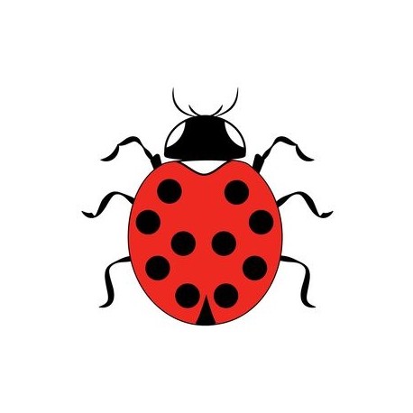 autocollant mural coccinelle