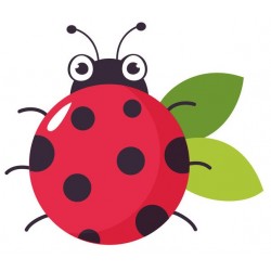 autocollants mural coccinelle