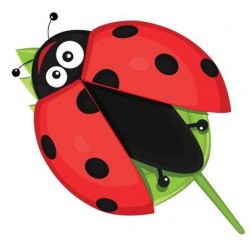 sticker mural coccinelle