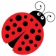 sticker mural coccinelle deco