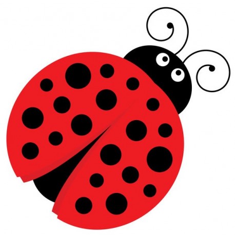 sticker mural coccinelle deco