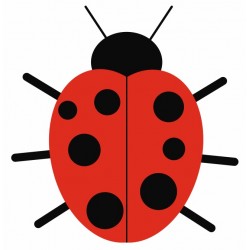 sticker mural coccinelle decoration