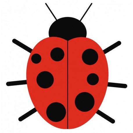 sticker mural coccinelle decoration