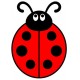 sticker muraux coccinelle