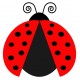 sticker muraux coccinelle decoratif