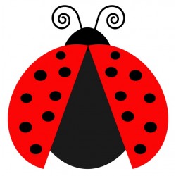 sticker muraux coccinelle decoratif