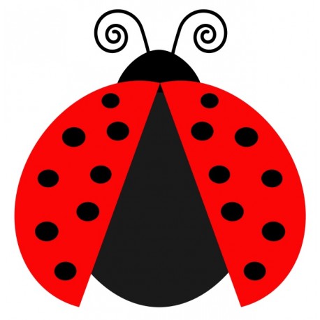 sticker muraux coccinelle decoratif
