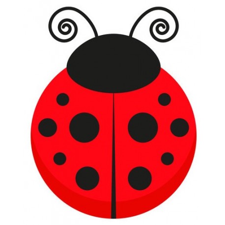 stickers coccinelle mural chambre