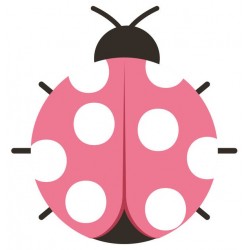 stickers coccinelle muraux