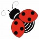 stickers mural coccinelle deco