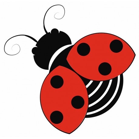 stickers mural coccinelle deco