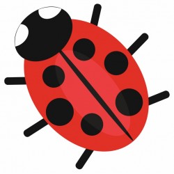 stickers mural coccinelle petit