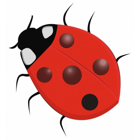 stickers mural cocinelle decoration