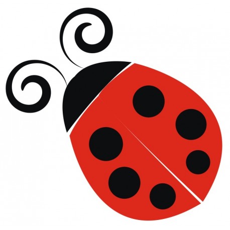stickers muraux coccinelle decoration