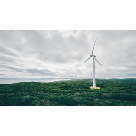 autocollant muraux eolienne foret