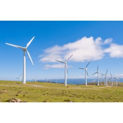 stickers mural eolienne champs