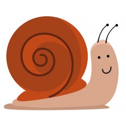 autocollants escargot rigolo decoratif