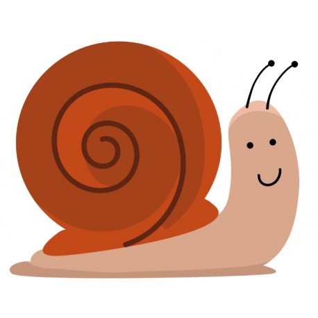 autocollants escargot rigolo decoratif