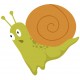 sticker escargot rigolo vert