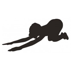 autocollant mural yoga sport