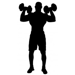 sticker mural sport musculation