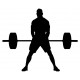 stickers muraux sport halterophile