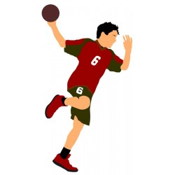 autocollant mural handball pas cher