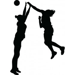 autocollants muraux handball