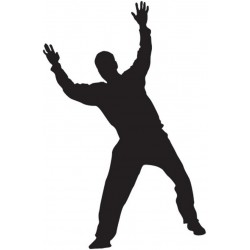 stickers muraux handball decoration