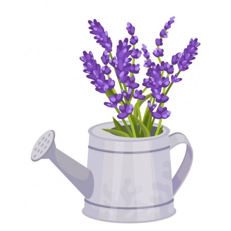 autocollants mural lavande arrosoir